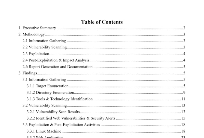 perform web application penetration testing